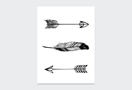 Feather Arrows